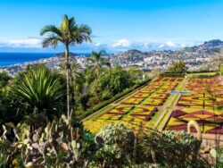 Singlereise zur Blumeninsel Madeira 1
