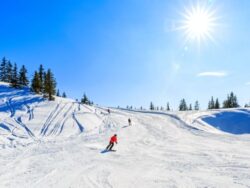 Single Skireise nach Mittersill 5